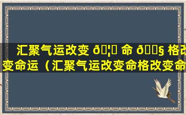 汇聚气运改变 🦍 命 🐧 格改变命运（汇聚气运改变命格改变命运什么意思）